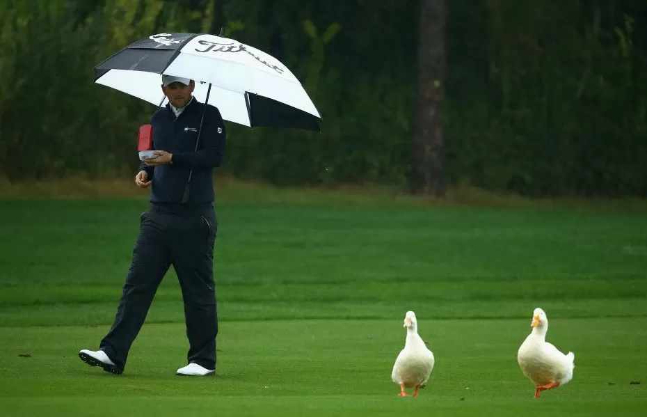 果岭上的动物王国：当高尔夫与大自然不期而遇-第3张图片-康盛风体育资讯官网 - 专业体育赛事报道与运动服饰潮流指南平台